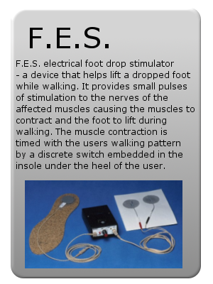 F.E.S.