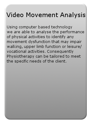 Video Movement Analysis